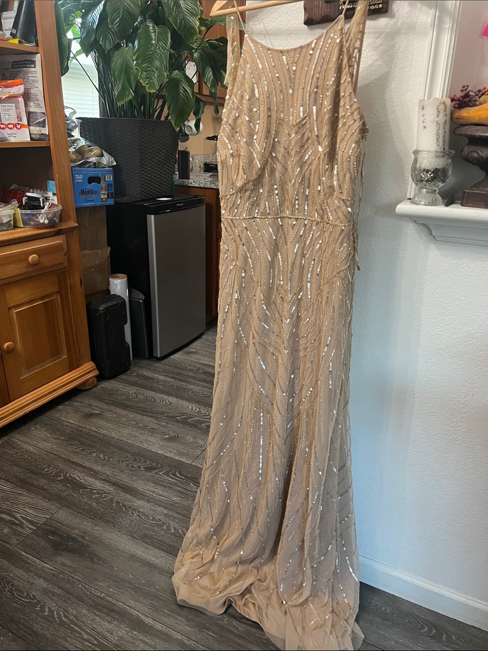 Adrianna Papell Beaded Champagne Evening Dress